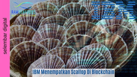 IBM Menempatkan Scallop Di Blockchain