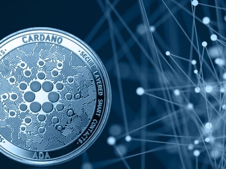 Gelombang Minat Baru Mendorong Cardano Mendekati Titik Tertinggi Sepanjang Masa