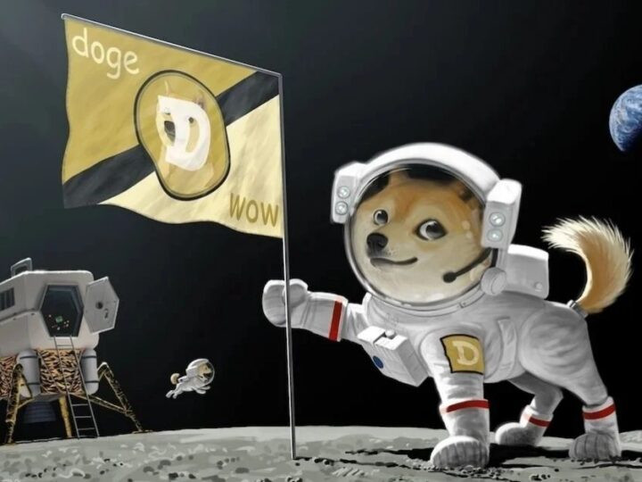 Secara harfiah ke bulan-muatan SpaceX yang didanai oleh DOGE berencana mencapai orbit bulan pada 2022