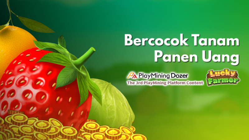 Bercocok Tanam Panen Uang | Lucky Farmer