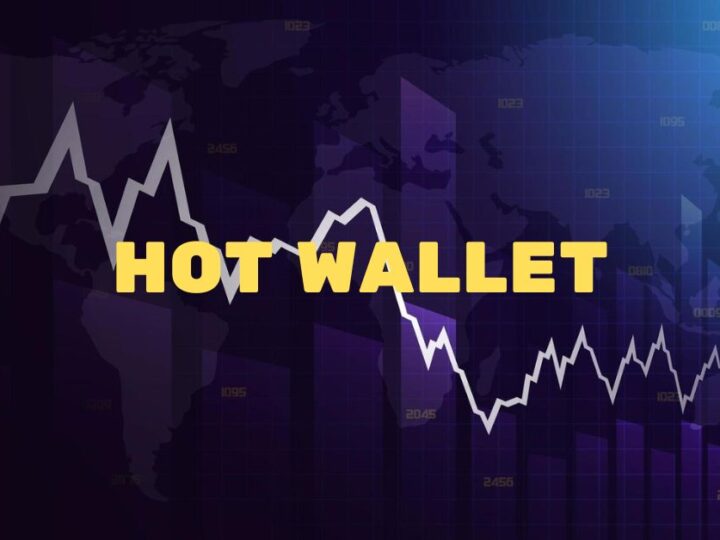 Apa Itu Hot Wallet?