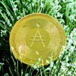 Altcoin Top 10: Strategi Trading dan Perkembangan Terbaru