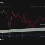 Revolusi AMM: DEX Menantang Dominasi CEX